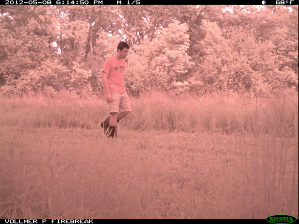 Full Size Image = 2133 K