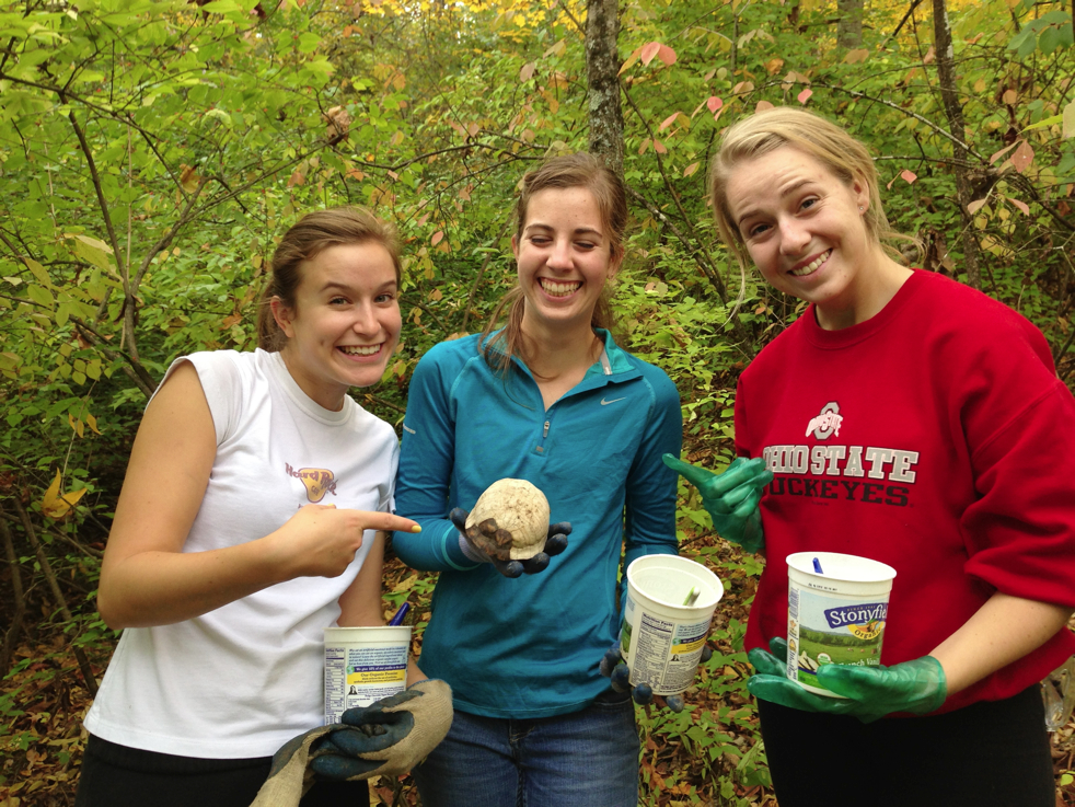 Full Size Image = 6974 K