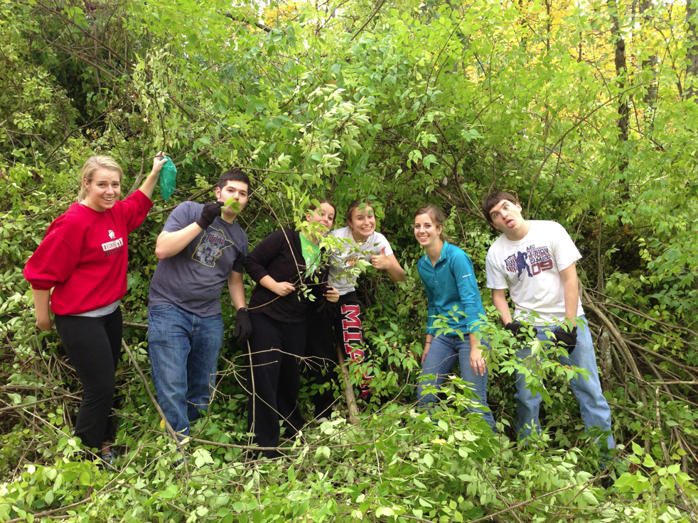 Full Size Image = 9572 K