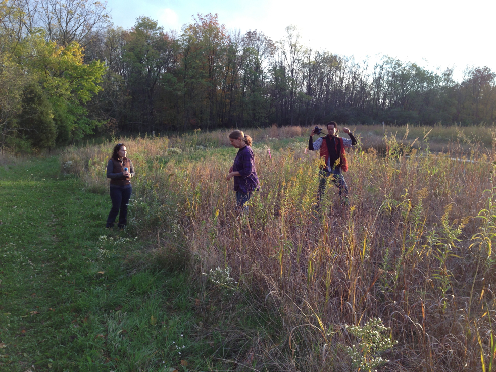 Full Size Image = 7494 K