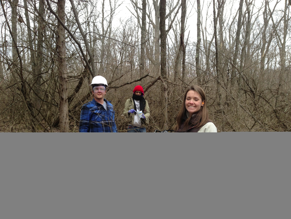 Full Size Image = 8488 K