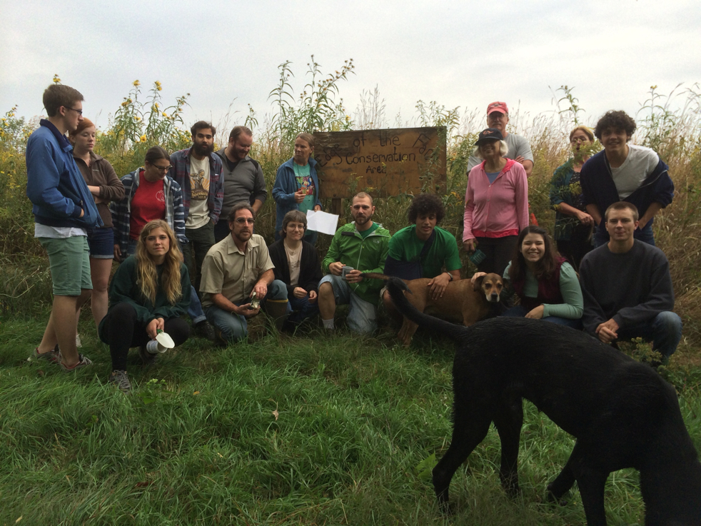 Full Size Image = 5801 K