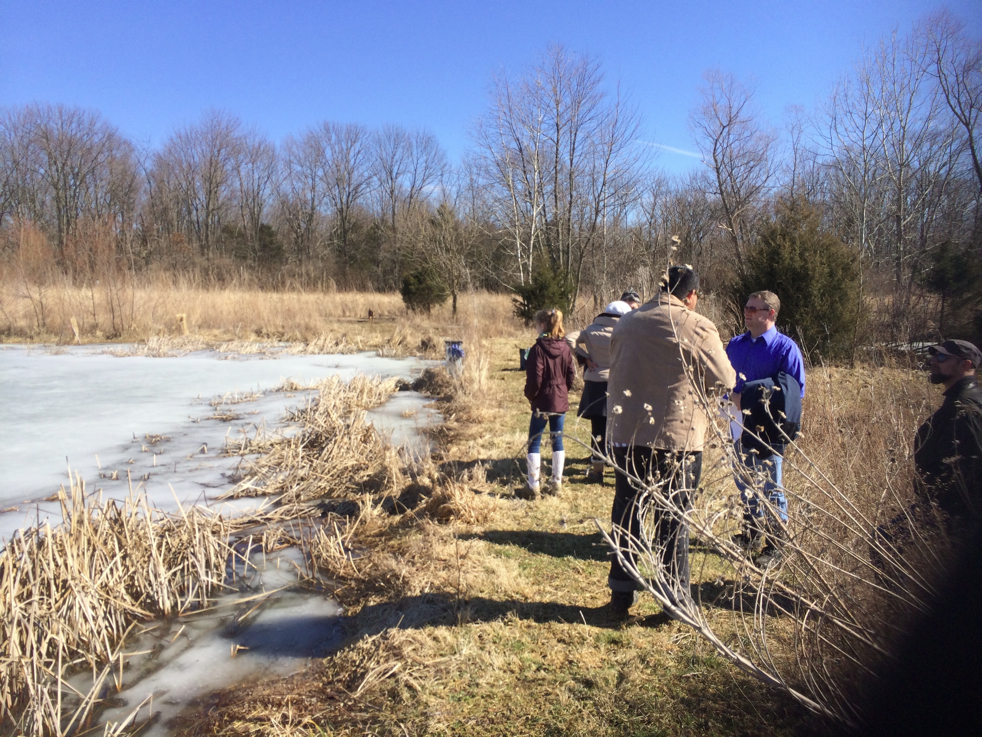 Full Size Image = 7196 K