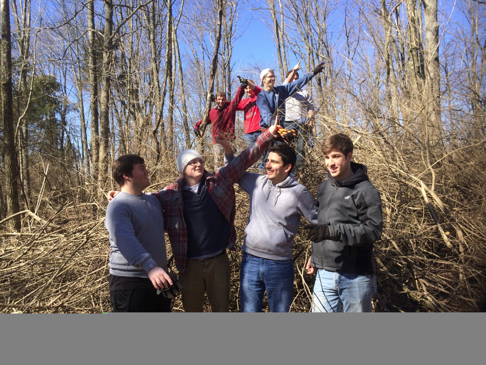 Full Size Image = 9114 K