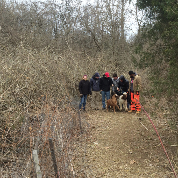 Full Size Image = 6342 K