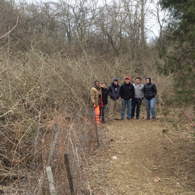 Full Size Image = 2037 K