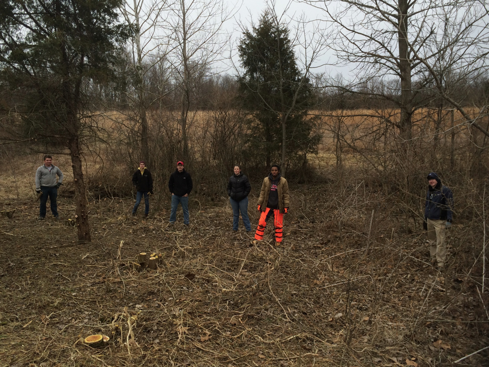 Full Size Image = 7286 K