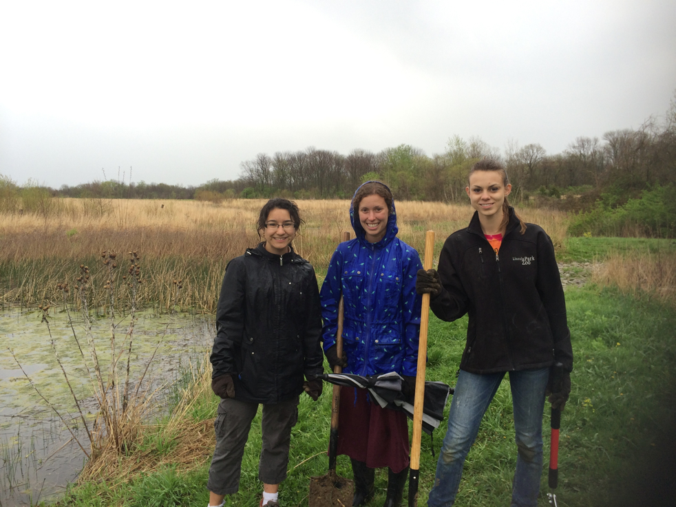 Full Size Image = 4815 K