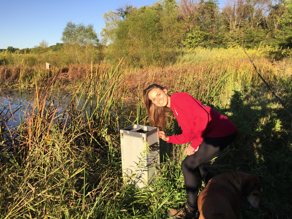 Full Size Image = 9786 K