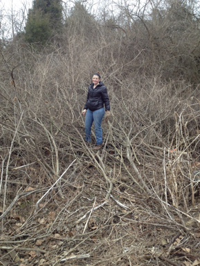 Full Size Image = 1515 K