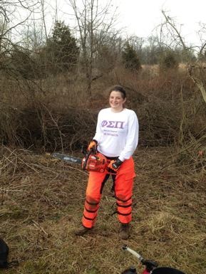 Full Size Image = 1546 K