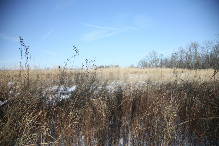 Full Size Image = 4973 K