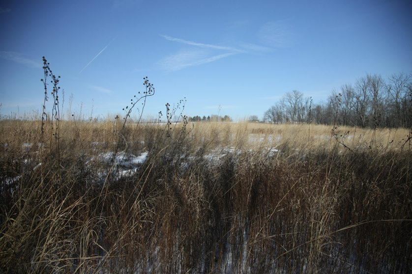 Full Size Image = 4624 K