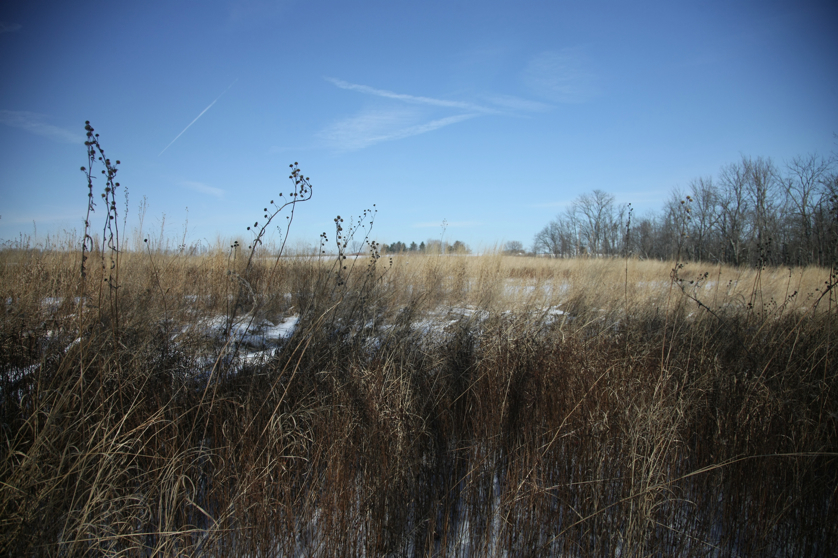 Full Size Image = 4505 K