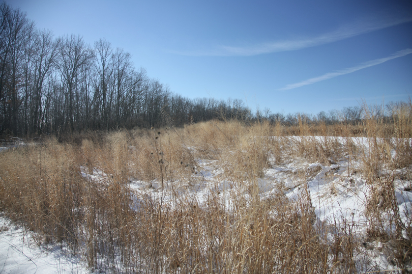 Full Size Image = 5520 K