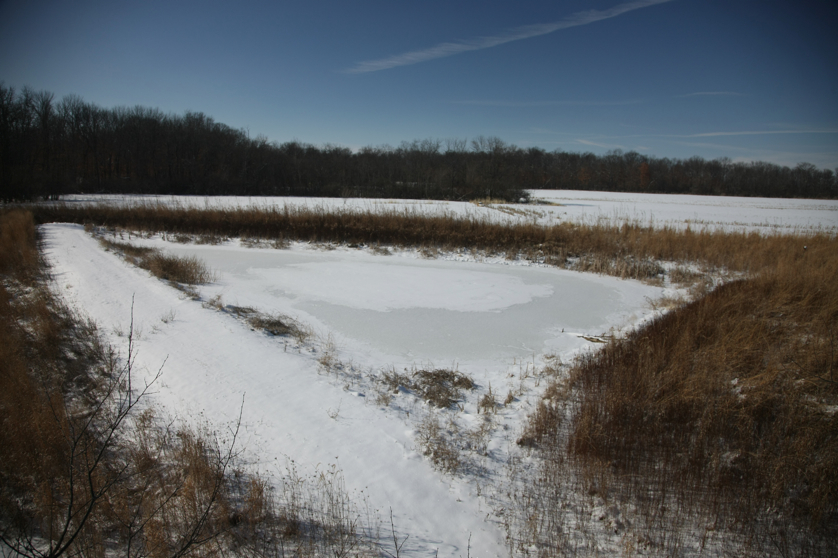 Full Size Image = 3539 K