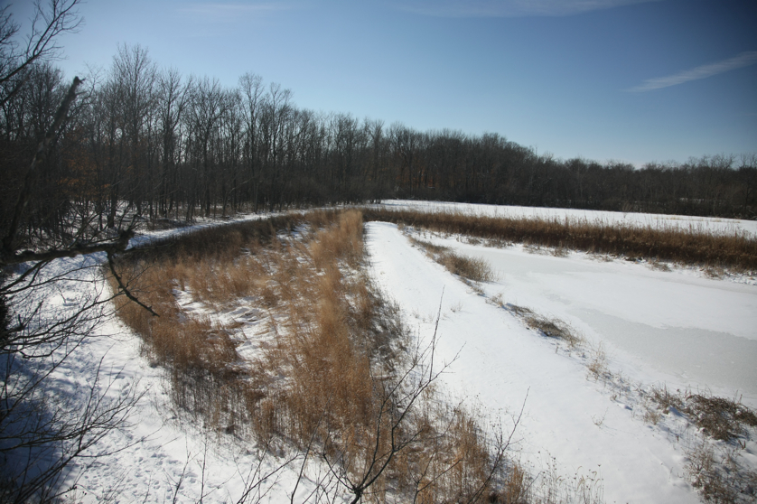 Full Size Image = 4749 K