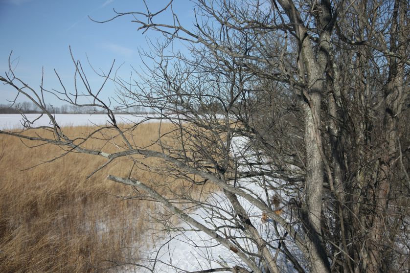 Full Size Image = 5256 K