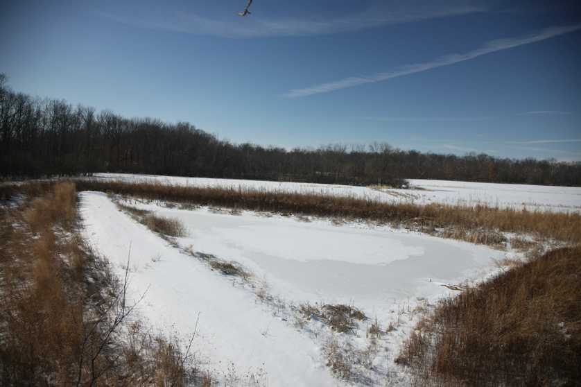 Full Size Image = 3819 K