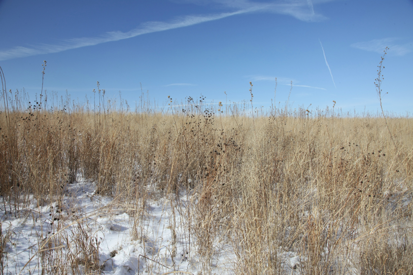 Full Size Image = 5472 K