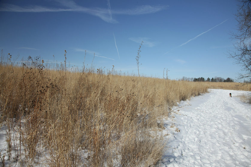 Full Size Image = 4785 K