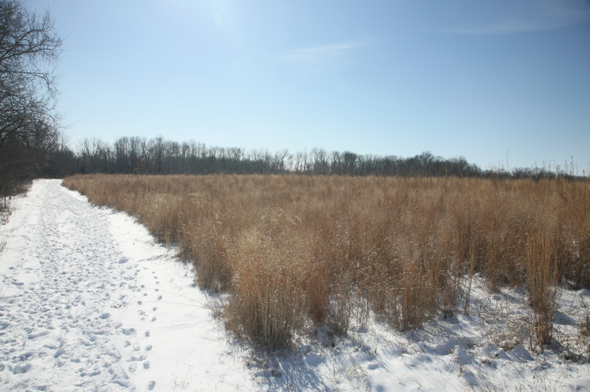 Full Size Image = 4572 K