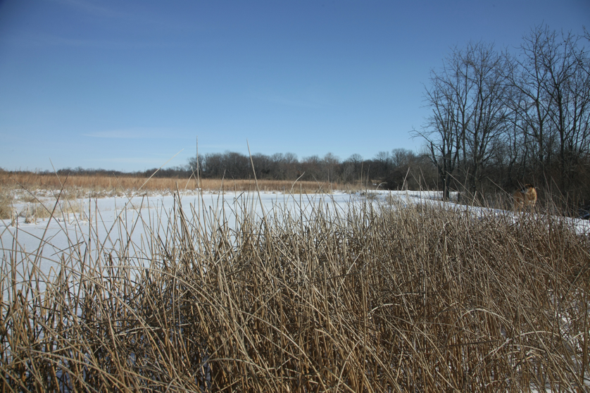 Full Size Image = 5360 K