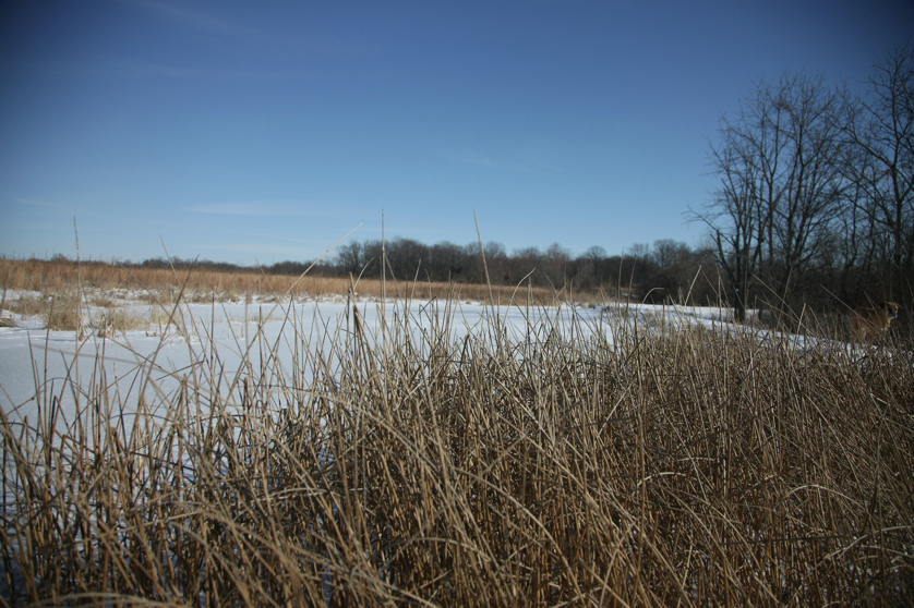 Full Size Image = 4471 K