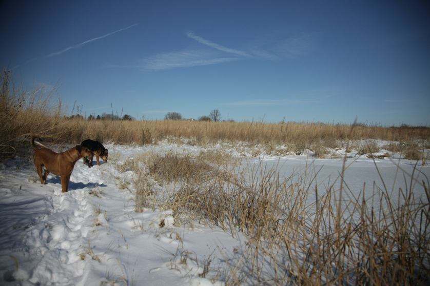 Full Size Image = 3515 K