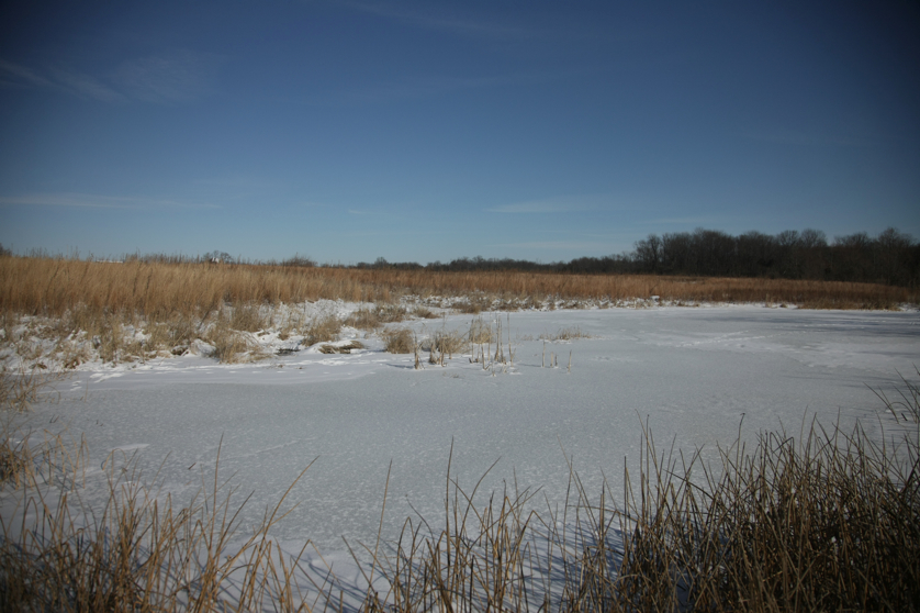 Full Size Image = 3552 K