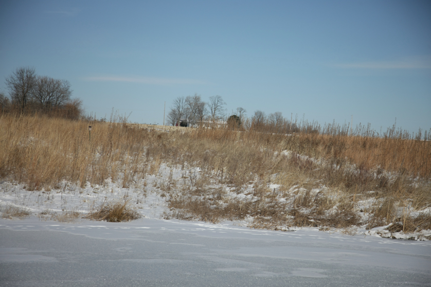 Full Size Image = 3645 K