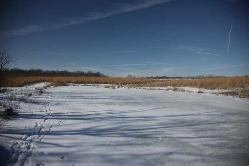 Full Size Image = 3154 K