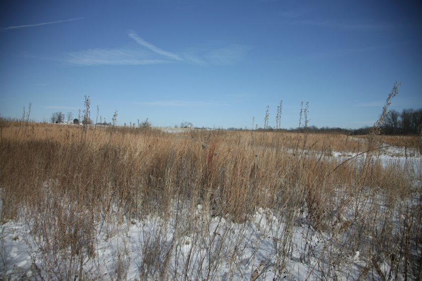 Full Size Image = 4602 K