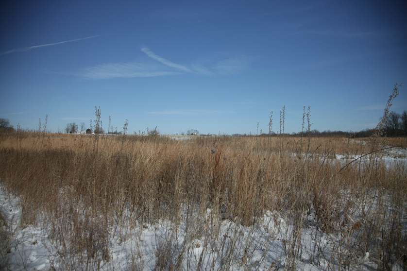 Full Size Image = 3997 K