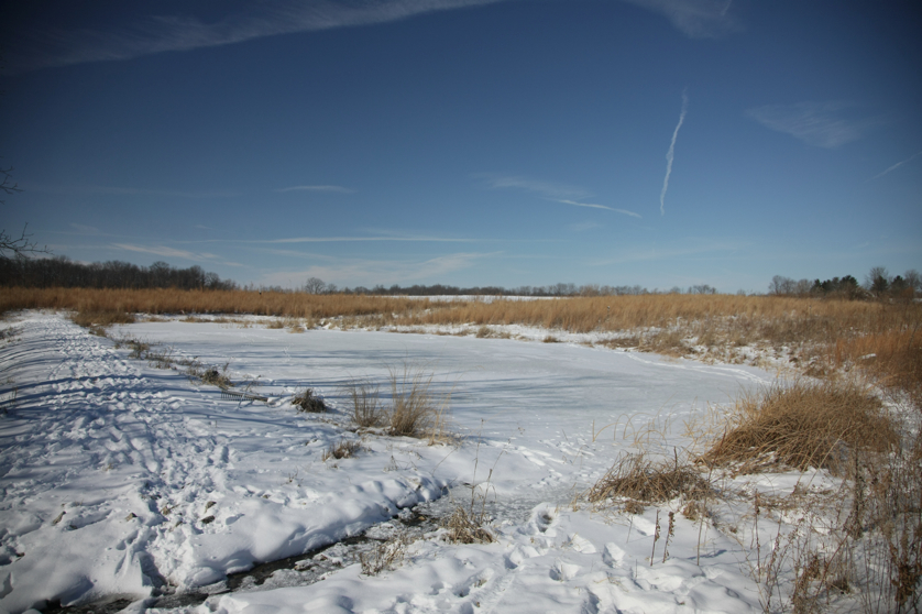 Full Size Image = 3600 K