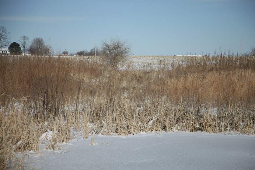 Full Size Image = 4054 K