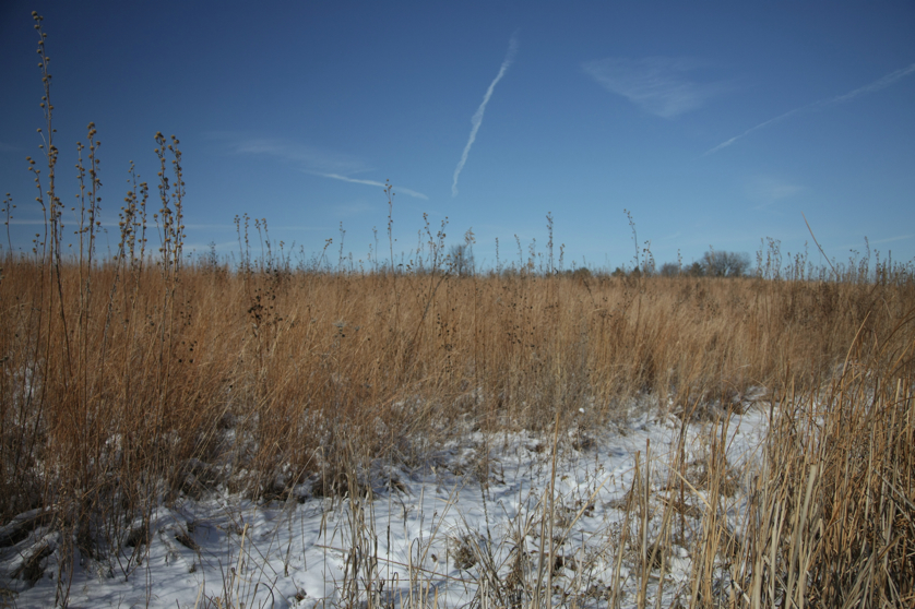 Full Size Image = 4135 K