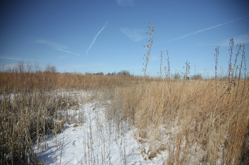 Full Size Image = 4486 K