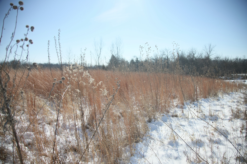 Full Size Image = 5059 K