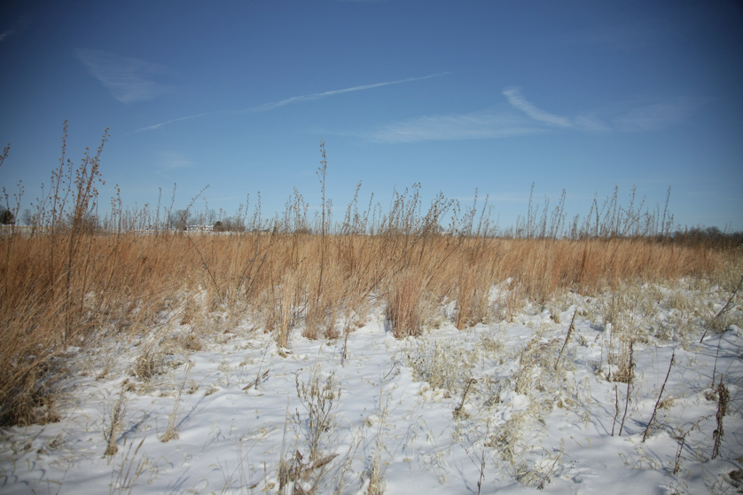 Full Size Image = 4123 K