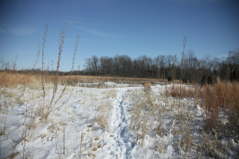 Full Size Image = 4295 K