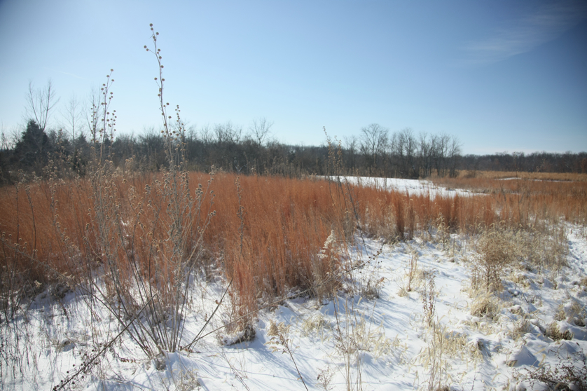 Full Size Image = 4447 K