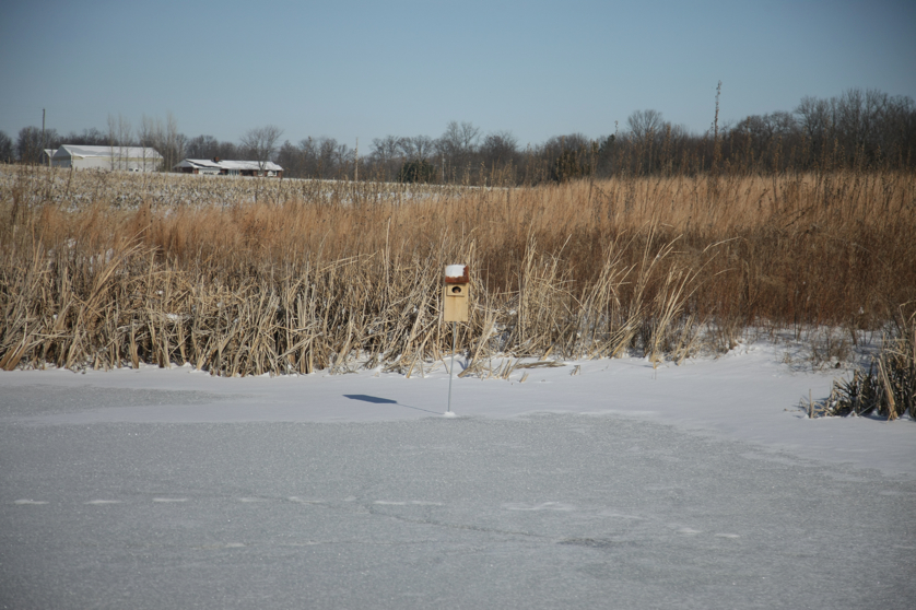 Full Size Image = 4012 K