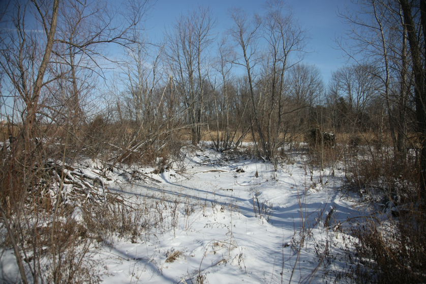 Full Size Image = 6076 K