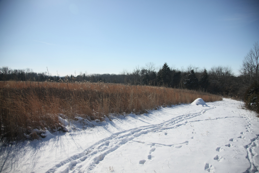 Full Size Image = 3621 K