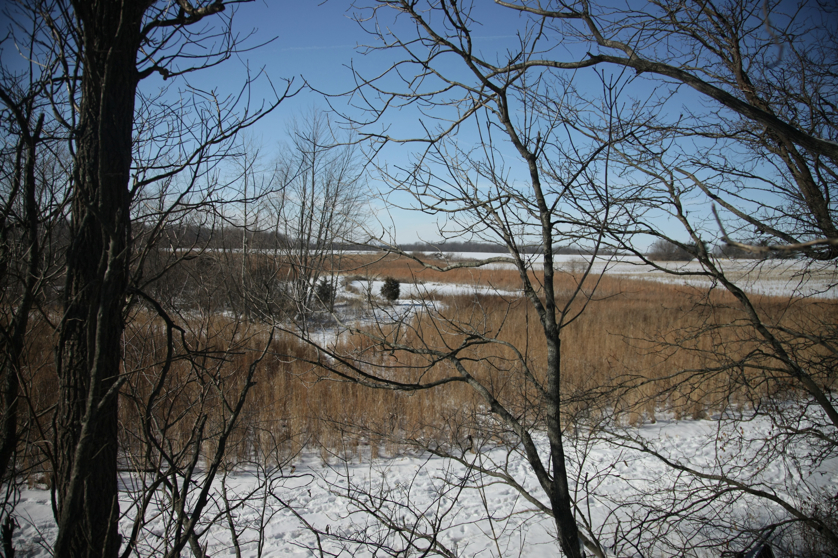 Full Size Image = 5675 K