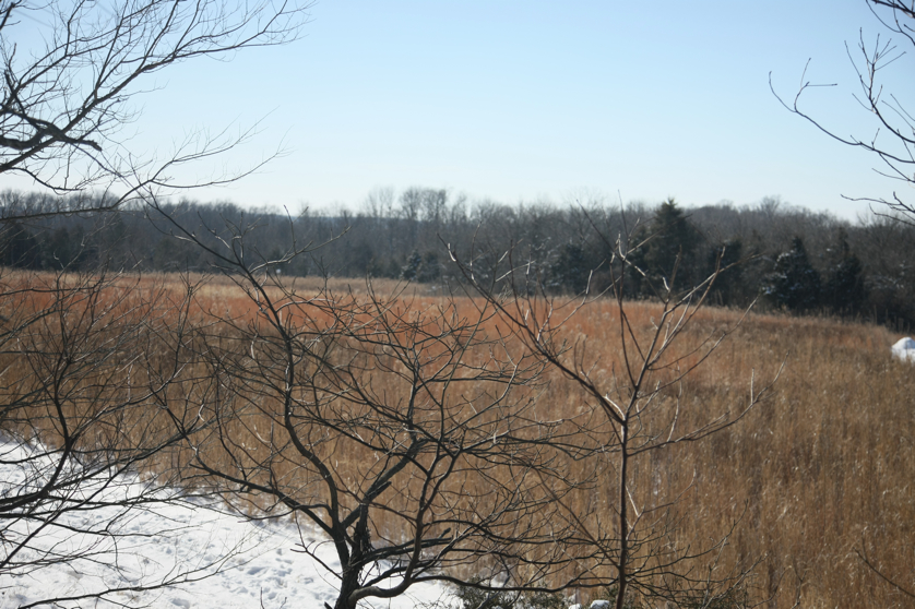 Full Size Image = 4120 K