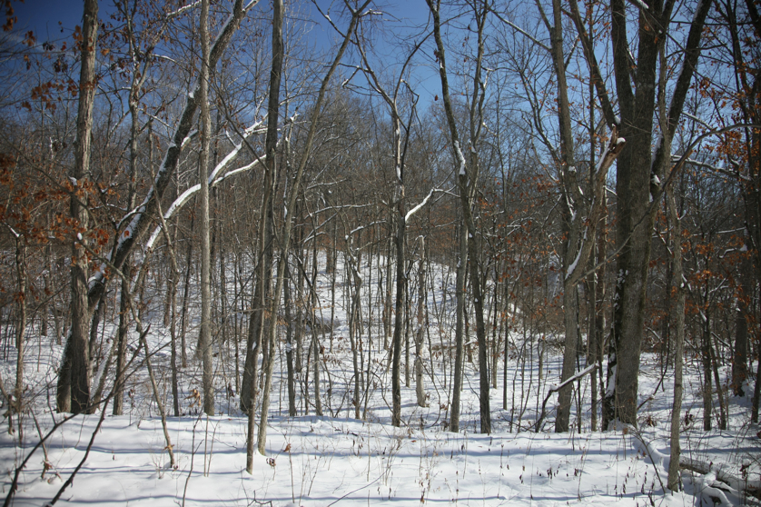 Full Size Image = 6613 K