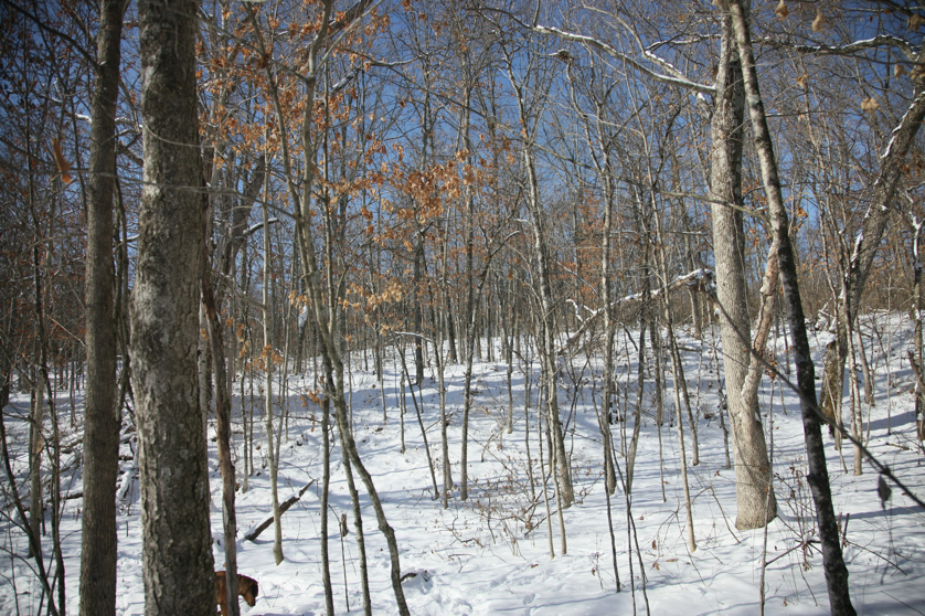 Full Size Image = 6826 K