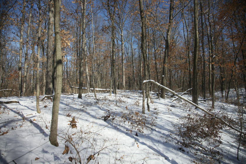 Full Size Image = 6376 K